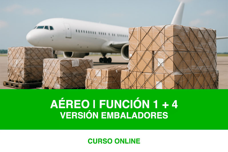 Curso Embaladores ID8000 MM.PP. FUN-1 + FUN 4 | antes CAT-1 / CAT-8 / CAT-5