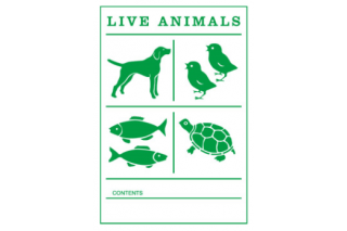 Etiqueta Animales Vivos Etiqueta Animales Vivos