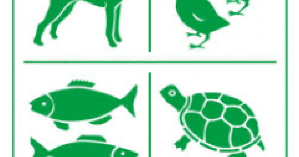 Etiqueta Etiqueta Animales Vivos