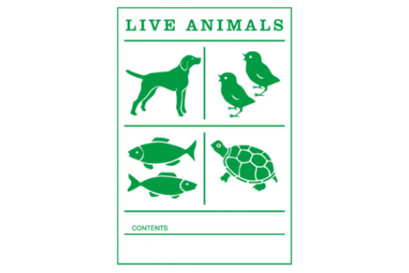 Etiqueta Animales Vivos